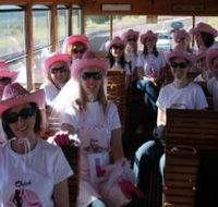 Newcastles Famous Tram - Accommodation QLD