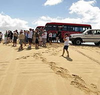 Port Stephens 4WD Tours - Accommodation QLD