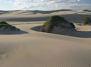Port Stephens 4WD Tours - Accommodation QLD 1