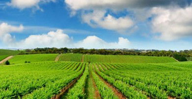 Sydney Weekend Adventures - Accommodation QLD 2