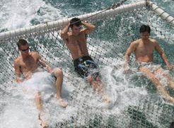 Tex Tours - Accommodation QLD 2