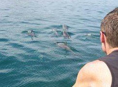 Tex Tours - Accommodation QLD 3