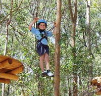 TreeTops Newcastle - Accommodation QLD