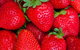 Newcastle City Farmers Markets - thumb 2