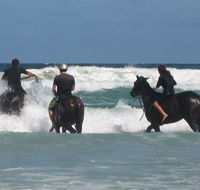 Pegasus Park Equestrian Centre - Accommodation QLD