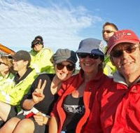 Byron Bay Whale Watching - Accommodation QLD