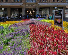 Queen Victoria Building - Accommodation QLD 1