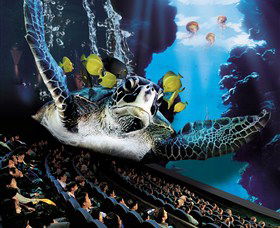 IMAX Theatre Sydney - Accommodation QLD 0