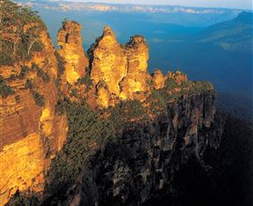 Botanica World Discoveries - Accommodation QLD 1