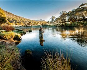 Tumut NSW Accommodation QLD