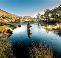 Fly Fishing Tumut - Accommodation QLD