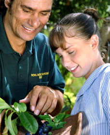 Aboriginal Heritage Tour - Accommodation QLD 1