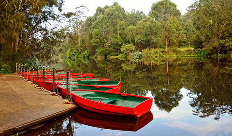 Lane Cove National Park - Accommodation QLD 0