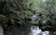 Lane Cove National Park - thumb 3