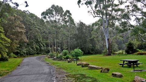 Lane Cove National Park - Accommodation QLD 2