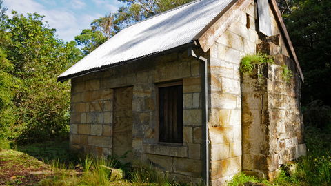 Lane Cove National Park - Accommodation QLD 1