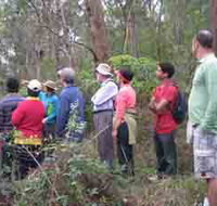 Boronia Tours - Accommodation QLD