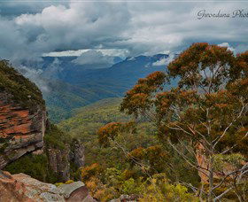 Australian Sightseeing And Photography Tours - Accommodation QLD 0