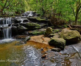 Australian Sightseeing And Photography Tours - Accommodation QLD 1