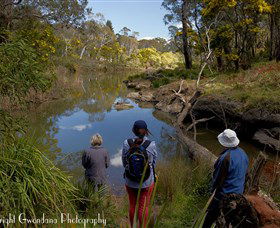 Australian Sightseeing And Photography Tours - Accommodation QLD 5