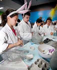 Australian Nuclear Science And Technology Organisation - Accommodation QLD 1