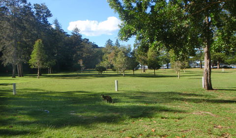 The Basin Picnic Area - Accommodation QLD 1