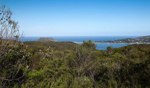 Aboriginal Heritage Walk - Accommodation QLD 1