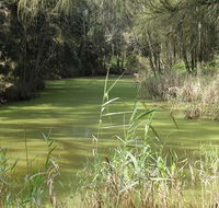 Second Ponds Creek walk - Accommodation QLD