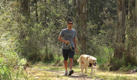 Second Ponds Creek Walk - Accommodation QLD 3