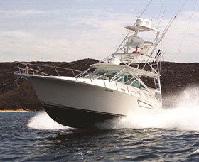 1300 Big Fish - Accommodation QLD 0