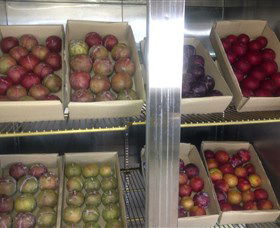 Canoelands Orchard - Accommodation QLD 1