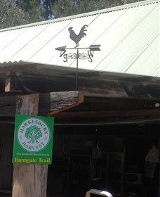 Canoelands Orchard - Accommodation QLD 3