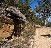 Canoelands Ridge walking track - Accommodation QLD
