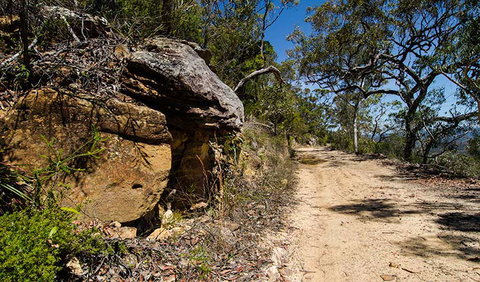 Canoelands Ridge Walking Track - Accommodation QLD 0