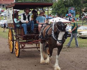 The Australiana Pioneer Village Ltd - Accommodation QLD 2