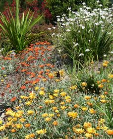 Mt Penang Gardens - Accommodation QLD 4