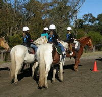 Darkes Forest Riding Ranch - Accommodation QLD