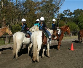 Darkes Forest Riding Ranch - Accommodation QLD 0