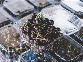 Adelaide Farmers' Market Showground - Accommodation QLD 1