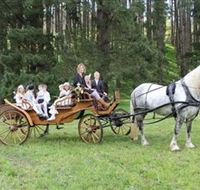 Classic Carriage Drives - Accommodation QLD