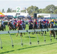 Morphettville Racecourse - Accommodation QLD
