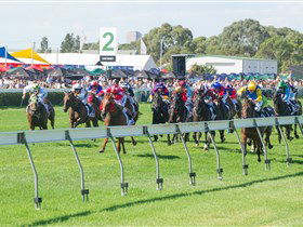 Morphettville Racecourse - Accommodation QLD 0