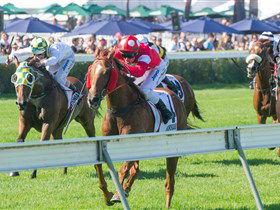 Morphettville Racecourse - Accommodation QLD 2