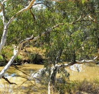 Quilberry Creek Fishing - Accommodation QLD