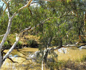 Quilberry Creek Fishing - Accommodation QLD 0