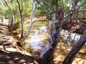 Quilberry Creek Fishing - Accommodation QLD 1