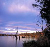 Loch Luna Game Reserve and Moorook Game Reserve - Accommodation QLD