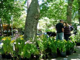 The Stirling Market - Accommodation QLD 0
