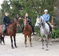 Academy of Dressage - Accommodation QLD