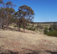 Onkaparinga River National Park - Accommodation QLD